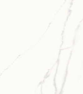 60x120 STATUARIO RPN